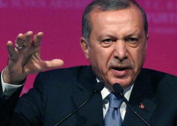 Реджеп Эрдоган. Фото: greenleft.org.au