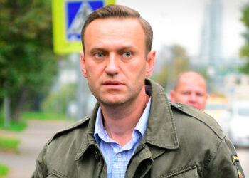 Алексей Навальный. Фото: Newsland