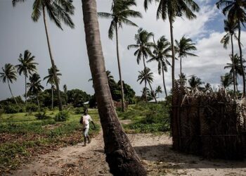 Деревня Китупо на северо-востоке Мозамбика в ожидании переселения жителей. Фото: AFP