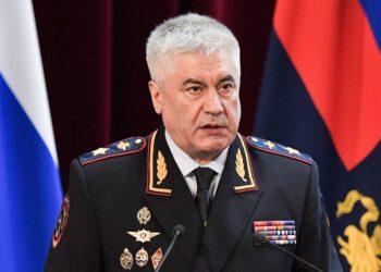 Владимир Колокольцев. Фото: ТАСС