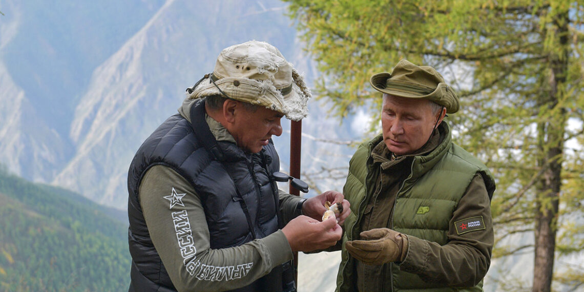 Сергей Шойгу и Владимир Путин. Фото: Пресс-служба Кремля