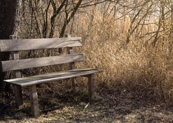 Депопуляция и осень. Фото: caralingroup.com