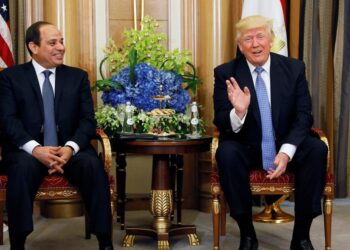 Абдель Фаттах ас-Сиси и Дональд Трамп. Фото: The National