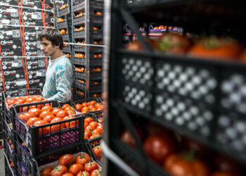 Фото: Сергей Бобылев/ТАСС