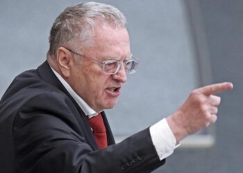 Владимир Жириновский. Фото: РИА Новости