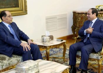 Мохаммед Ахмед Фарид и Абдель Фаттах ас-Сиси. Фото: AFP