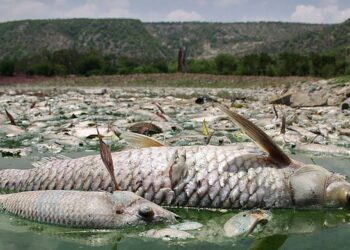 Фото: allwomens.ru