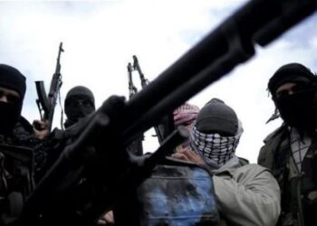 Террористы