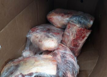 Фото: big-rostov.ru