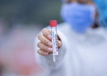 Фото: pixabay.com