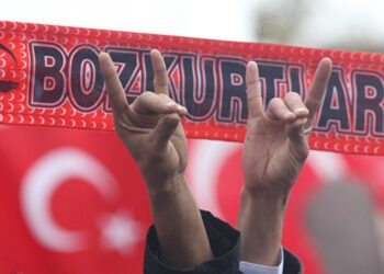 Приветствие членов общества "Серые волки". Иллюстрация: AFP 2017 / Adem Altan