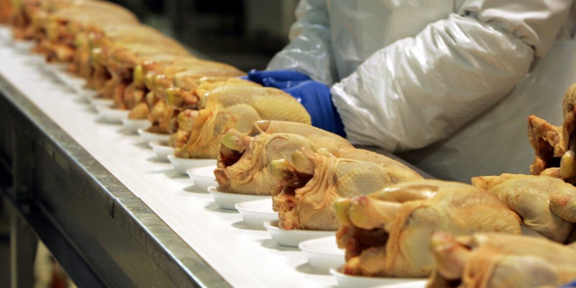 Иллюстрация: сельхозпортал.рф