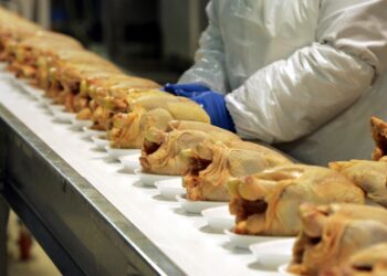 Иллюстрация: сельхозпортал.рф