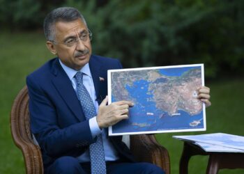 Фуат Октай. Фото: Anadolu