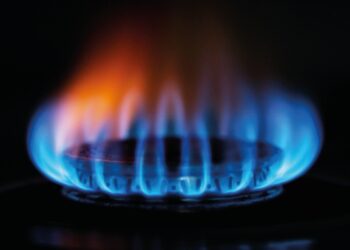 Фото: hollandtimes.nl