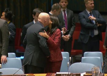 Василий Небензя и Никки Хейли. Иллюстрация: РИА Новости