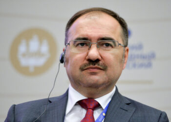 Глава Пенсионного фонда России Антон Дроздов. Фото: РИА Новости/Константин Чалабов