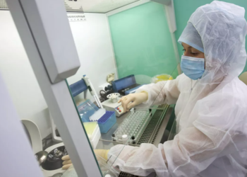 Фото: РИА Новости