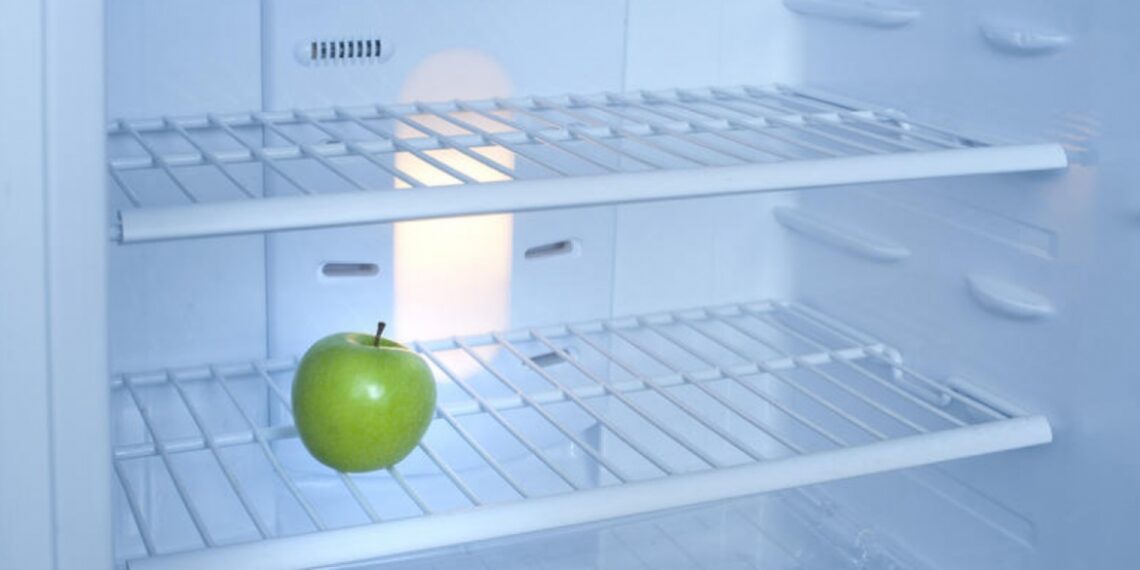 Пустой холодильник. Фото: Gratuit / Creative Commons