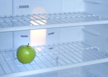 Пустой холодильник. Фото: Gratuit / Creative Commons