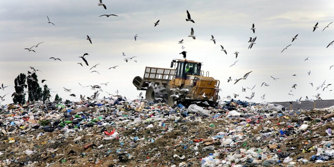 Мусорная свалка. Фото: ks-region69.com