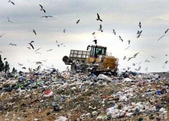 Мусорная свалка. Фото: ks-region69.com