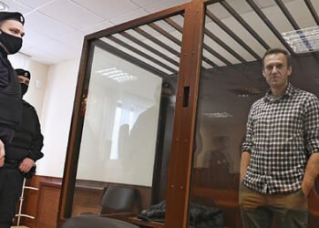 Алексей Навальный. Фото: Анатолий Жданов / «Коммерсант»