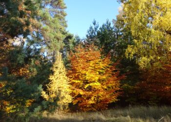 Бад Фрайенвальде. Фото: Алексей Ананченко / ИА Реалист