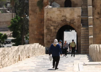 Фото: pixabay.com