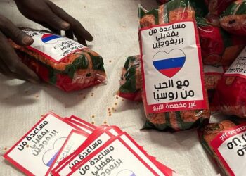 Гуманитарная помощь гражданам Судана