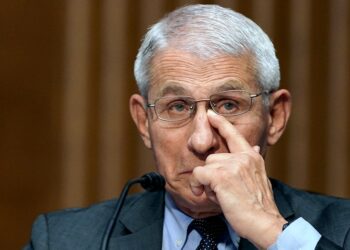 Энтони Фаучи. Фото: AP