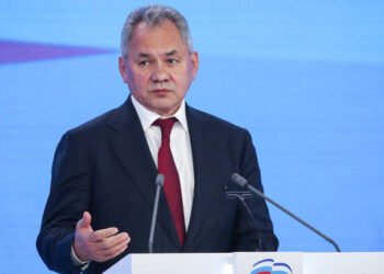 Сергей Шойгу. Фото: er.ru