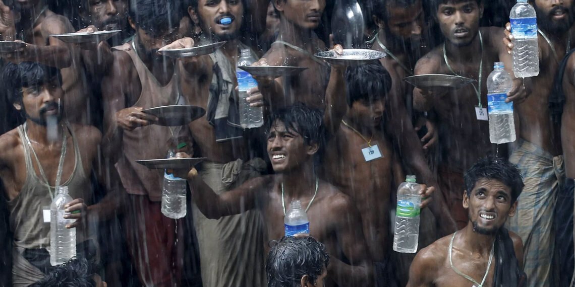 В поисках воды. Фото: tumblr.com