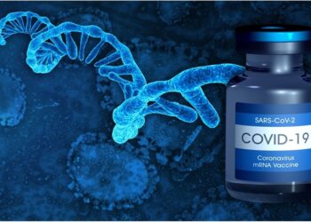 Иллюстрация: Shutterstock