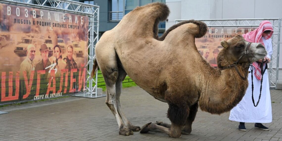 Фото: Федеральное агентство новостей / Степан Яцко