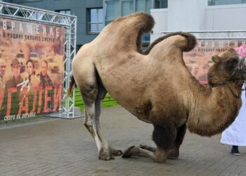 Фото: Федеральное агентство новостей / Степан Яцко