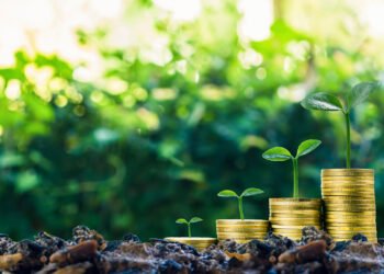 Зеленая экономика. Фото: highworthcitizen.com