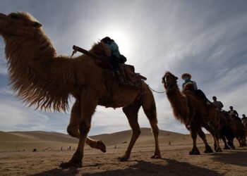 Фото: Fan Peishen / Global Look Press