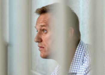 Алексей Навальный. Фото: Vasily Maximov / AFP