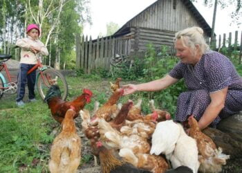 Подсобное хозяйство