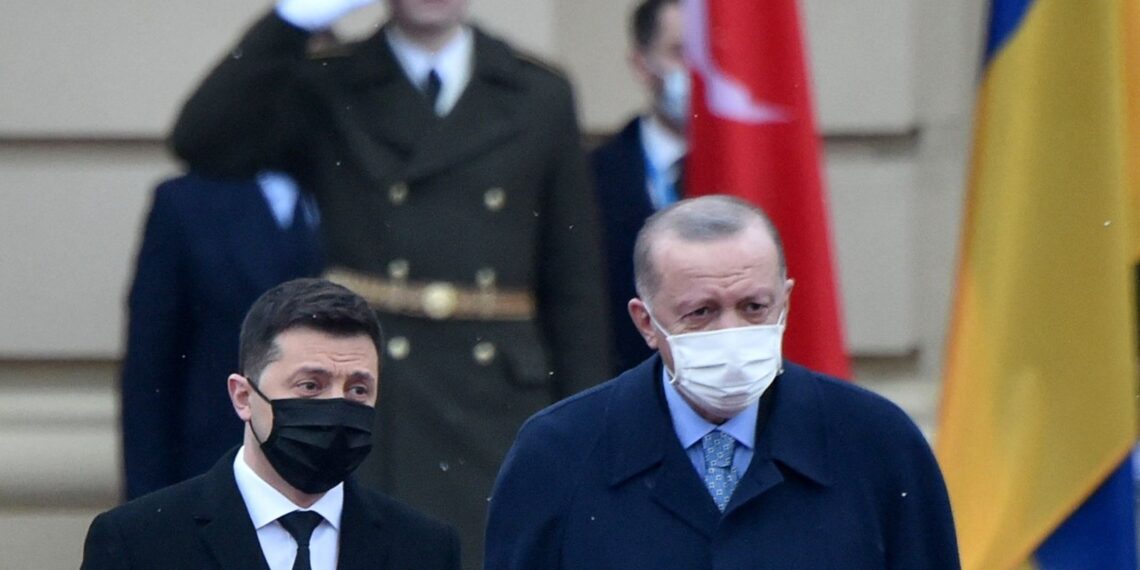 Владимир Зеленский и Реджеп Тайип Эрдоган. Фото: AFP