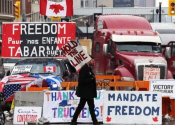 «Конвой свободы». Фото: AFP