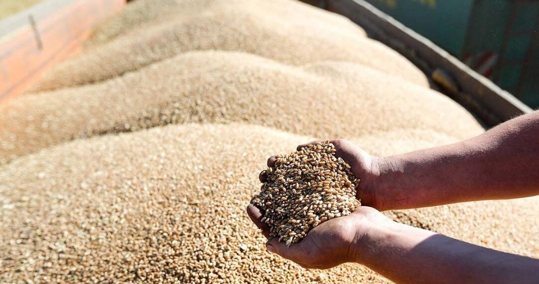 Фото: Максим Стулов / Ведомости