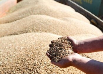 Фото: Максим Стулов / Ведомости