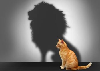 Уверенность в себе. Фото: psy-style.com