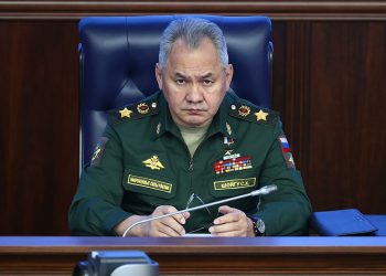 Сергей Шойгу. Фото: РИА Новости