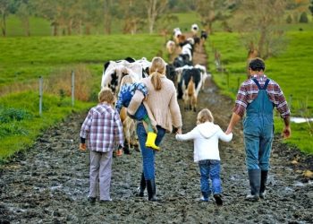 Ферма. Фото: promdevelop.com