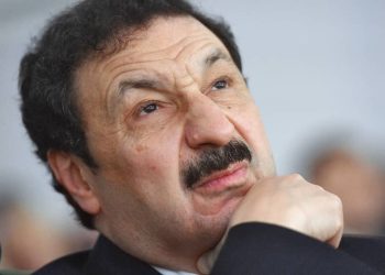 Владимир Мау. Фото: kommersant.ru