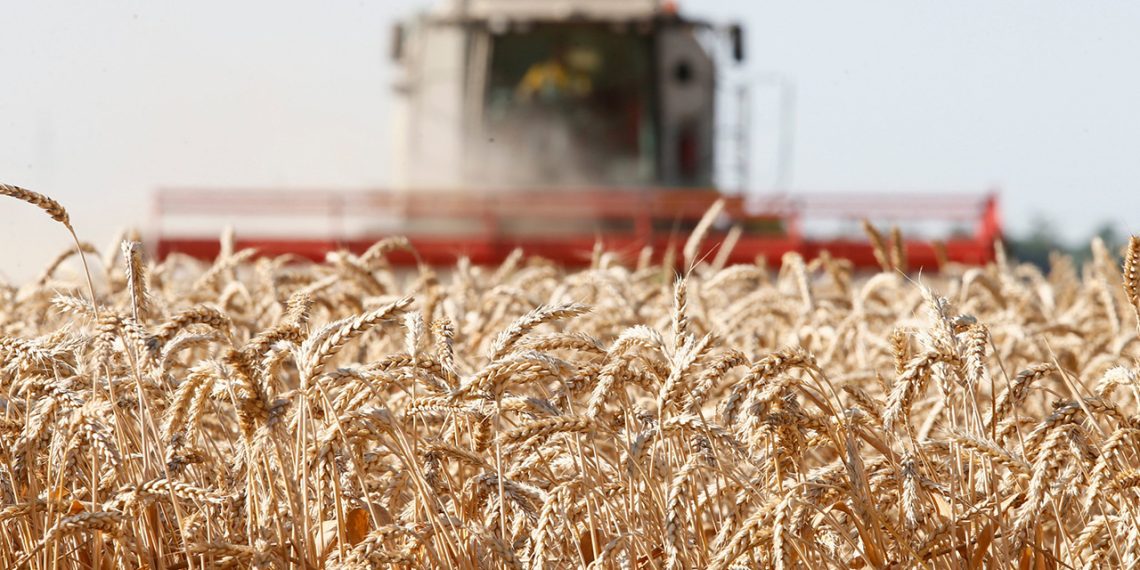 Фото: smolensk-i.ru