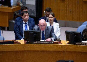 Василий Небензя. Фото: russiaun.ru